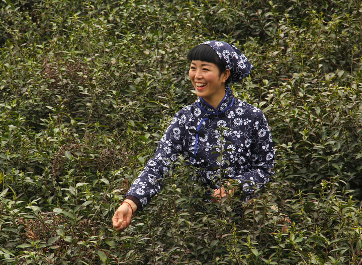 韩美女主播热午 爱情